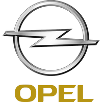 Удаление сажевый фильтр Опель (Opel) в Омске