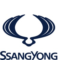 Чип тюнинг Ssang Yong Tager в Омске